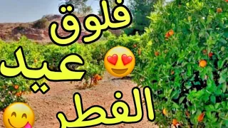 دوزو معايا نهار عيد الفطر  فالعروبية و الطبيعة و الشلالات 🌊🌤️😍