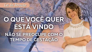 O que você quer está vindo, não se preocupe com o tempo de gestação | Abraham Hicks