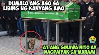 DUMALO ANG ASO SA LIBING NG KANYANG AMO AT ANG GINAWA NITO AY NAGPAIYAK SA MARAMI