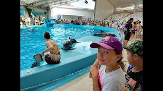 Анапский дельфинарий🐳