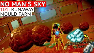 Earn Nanites with a Runaway Mould Farm in No Man's Sky