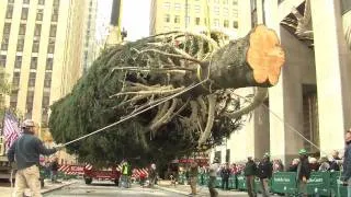 How the Rockefeller Center Christmas Tree is Prepped