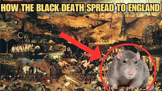 How the Black Death Spread to England in 7 Minutes