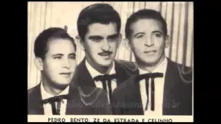 Pedro B. E Zé Da Estrada 5