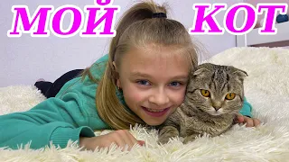 МОЙ КОТЕНОК ЛОЛА ВЛОГ покупки для питомца