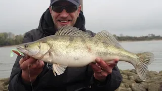 Zanderangeln am Rhein - Auf Zander im Herbst/Winter 2021 - Tipps & Tricks fürs Gummifischen