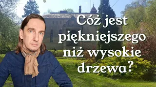 Pielęgnacja zabytkowego parku | Magia słonecznych dni | Ćma bukszpanowa zjadła żywopłot | Ligustr