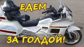 ЕДЕМ ЗА ГОЛДОЙ! | КУПИЛИ HONDA GoldWing 1500SE!