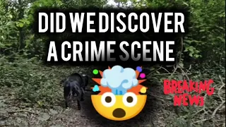 Did My Retired Police K9 Discover A Crime Scene