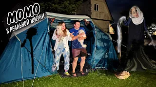 Момо в РЕАЛЬНОЙ жизни НОЧЬЮ в нашей трёхкомнатной палатке с котами и собакой
