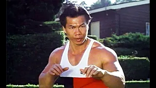 Breathing Fire (1991) Cały Film Sztuki Walki z Bolo Yeung | Lektor PL | VHS