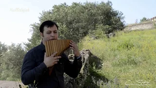 Hallelujah / Аллилуйя /Pan flute/  Пан флейта