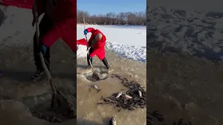 Unique Fish Trap  Of Catching Lot Of Fish🐟🎣