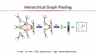 OHBM 2023 | 3017 | Talk | Sayan Ghosal | A Biologically Inspired Model to Integrate Multi-modal Im…