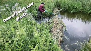 Quickest Beaver dam REMOVAL!