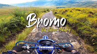 BROMO MASIH DITUTUP?? | NYOBAIN NAIK BROMO VIA MALANG #bromo #wisatabromo #bromotenggersemeru