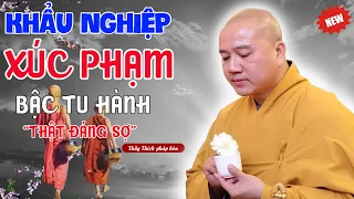 "XÚC PHẠM" Bậc Tu Hành "Quả Báo Khẩu Nghiệp Thật Đáng Sợ" Thấm Từng Câu Từng Chữ | Thầy Pháp Hòa