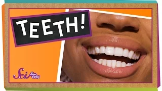 Teeth: Not Just for Smiles!