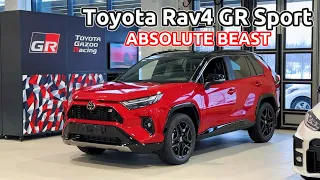 2024 Toyota RAV4 GR Sport | Visual Review