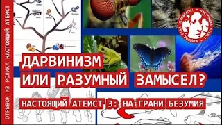 Дарвинизм или Разумный замысел? | НАСТОЯЩИЙ АТЕИСТ 3: НА ГРАНИ БЕЗУМИЯ (отрывок)