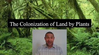 3_4 The Colonization of Land by Plants