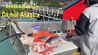 Life in Alaska--Visit Valdez, Alaska/ Silver Salmon fishing