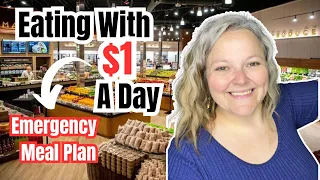 How To Live On $1 A Day In 2024 || Extreme Grocery Budget || Variety & Over a Week Of Meals