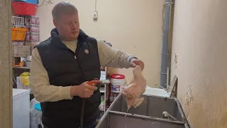 Что делают с курицей до того, как она станет гриль?