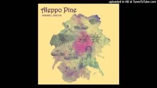 Aleppo Pine - Raining Until Monday