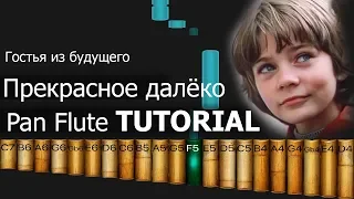 Гостья из будущего - Прекрасное далёко (Уроки Панфлейта)