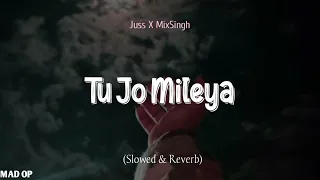 Tu Jo Mileya (Slowed & Reverb) Juss X MixSingh Song Video