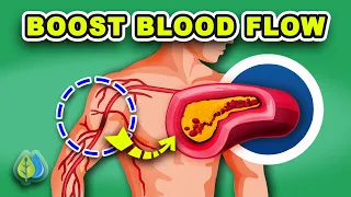 7 Vitamins to increase BLOOD FLOW and CIRCULATION | Improve Blood Flow to Legs & Brain