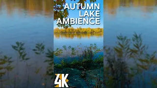 4K Relaxing Vertical Video for Tablets & iPhones with Nature Sounds - Autumn Lake Ambience