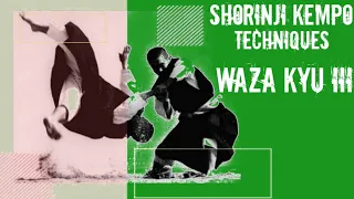 WAZA KYU III || SHORINJI KEMPO || TECHNIQUES 少林寺拳法