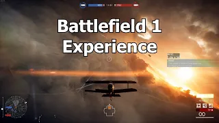 What 138 Hours of Battlefield 1 Looks Like