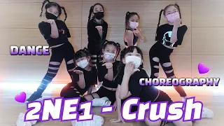 ✨2NE1 - Crush [KDM성남본점_어린이전문반]◾[SOUND COLOR]