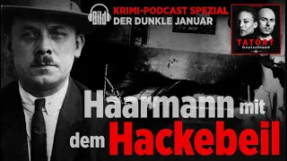 Haarmann mit dem Hackebeil  | Tatort Deutschland – True Crime täglich | BILD Podcast