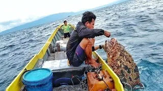 TAK DI SANGKA MANCING IKAN DI SPOT BARU||ternyata sarang ikan kerapu taiger babon