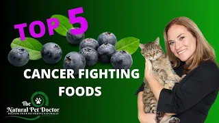 (Top 5 Cancer Fighting Foods) for Your Dogs and Cats with Dr. Katie Woodley - The Natural Pet Doctor