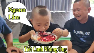 Tam Đệ Lần Đầu Thử Tiết Canh Nhộng Ong -  Chuyến Sinh Tồn Thất Bại