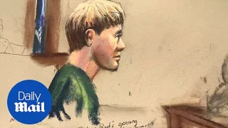 Dylann Roof to jury: 'There's nothing wrong with me.' - Daily Mail