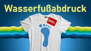 Virtuelles Wasser: So viel verbraucht ein einziges T-Shirt! | klima:check