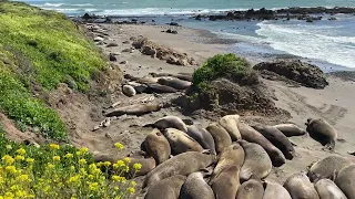 Beach Ladies resting
