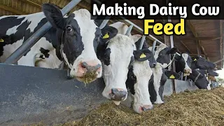 Making Cheap and Quality Dairy Animals Feed