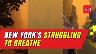 New York, cities in US are struggling with dangerous AIR QUALITY | Canadian wildfires responsible