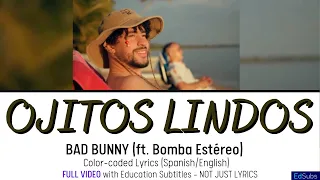 Bad Bunny (ft. Bomba Estéreo)-Ojitos Lindos (FLATTENED 360° Visualizer)- Spanish & English Subtitles