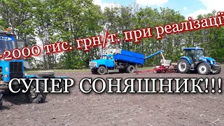 Посів соняшника ЄВРОЛАЙТІНГ!!!