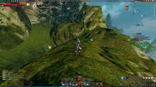 Wondrous Magic Grass Quest Revelation Online