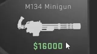 This is why you need $16.000 in csgo: