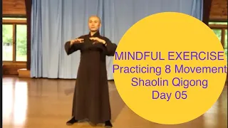 Mindful Exercise/Practicing 8 Movement Shaolin Qigong Baduanjin Day 05